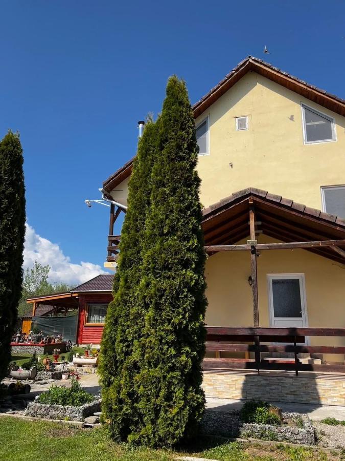 Pensiunea Colt De Rai, Vistisoara Statiunea Climaterica Sambata Exterior foto