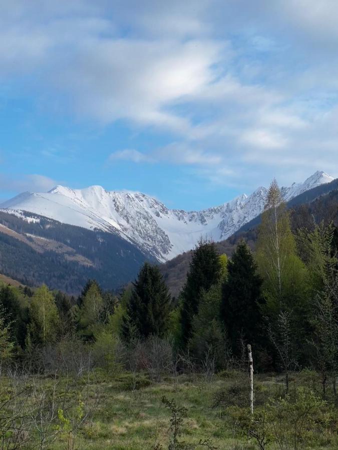 Pensiunea Colt De Rai, Vistisoara Statiunea Climaterica Sambata Exterior foto